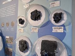 -浙江自然博物院(杭州馆)
