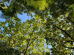 -碧桂园润杨溪谷温泉酒店