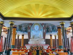 -龙口南山旅游景区