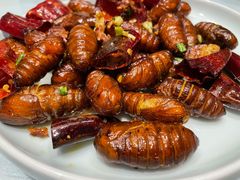 -一轩饺子馆(丽都店)