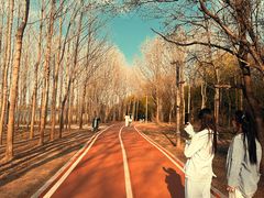 -长春市南湖公园