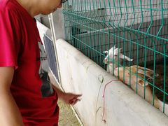 -洪湖家庭农场·团建·露营·会议