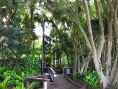 -布里斯班南岸公园