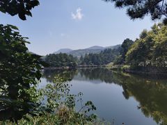 -庐山风景区花径公园