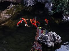 -径山寺