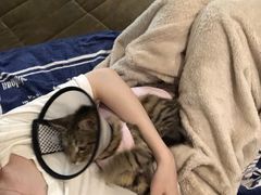 -佳怡动物医院·平价24小时·猫专科骨外科