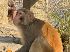 -白帝城·瞿塘峡景区