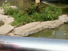 android_upload_pic-南昌动物园