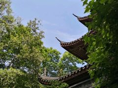 -西湖外事游船(花港观鱼码头)