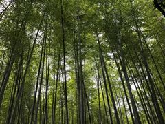 -上海市保健医疗中心(华东疗养院)