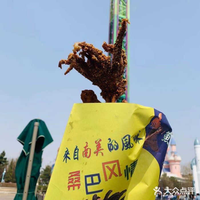 沈阳方特欢乐世界图片