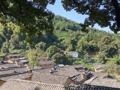 -杨家堂村
