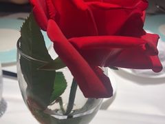 -波特曼西餐厅(南岗店)