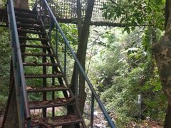 -莫里热带雨林景区