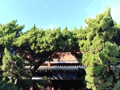 -蓬莱阁景区