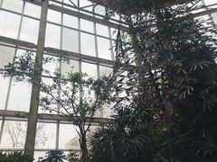 -仁爱团泊湖温泉中心