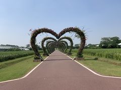 -迪茵湖田家舍生态农场