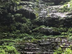 -碧峰峡风景区