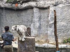 -清迈夜间动物园