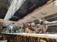 -红辣椒·川菜·火锅(大洋中心店)