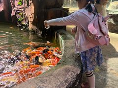 -正佳雨林生态植物园