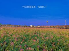 -枫林花海