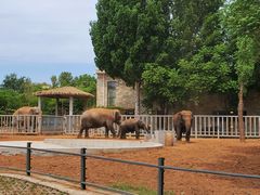 -石家庄市动物园