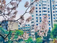 -成都市活水公园
