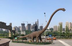 -恐龙探索乐园(磁器口店)