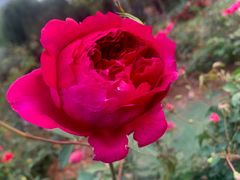 -人民公园(罗湖区)