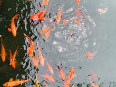 -绍兴饭店知遇楼(环山路店)