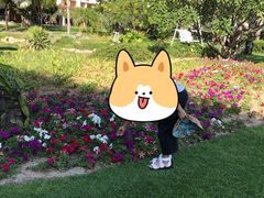 -三亚亚龙湾天域度假酒店