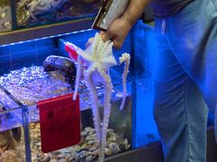 -金海湾海鲜排档(朱家尖店)