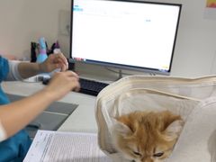 -佳雯宠物医院·皮肤科·内外科(春晓路分院)