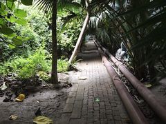 -呀路古热带植物园