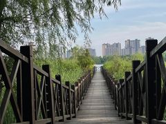 -洋湖国家湿地公园