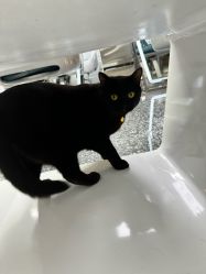 -飞梵造型