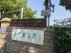 -嘉定紫藤园