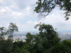 -阳台山森林公园