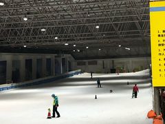 -绍兴启迪乔波冰雪世界