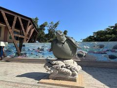 -广东惠东海龟国家级自然保护区