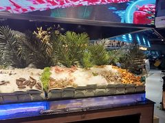 -海吃海喝海鲜烤肉炭火主题自助餐(朝阳店)