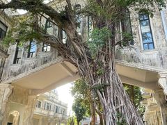 -赤坎古镇影视城