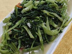 -茂港柏香(侨港路店)