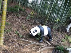 -天目湖山水园