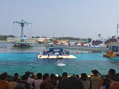 -秦皇岛乐岛海洋王国