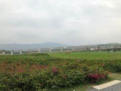 -光明小镇欢乐田园