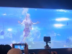 -重庆欢乐海底世界