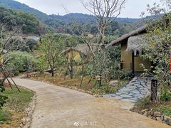 -杭州开元森泊度假乐园