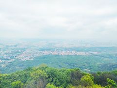 -紫金山山顶公园